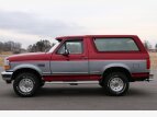 Thumbnail Photo 5 for 1994 Ford Bronco
